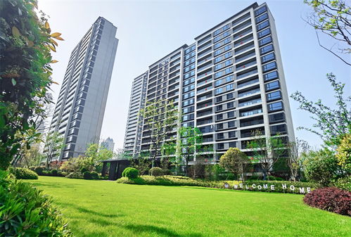 驚艷全嘉興 央企樓盤交付的品質范本,兌現硬核實力